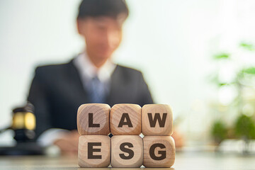 law net zero law maker and lawyer making environmental protection