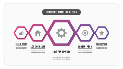 hexagon five infographics