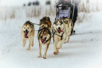 Wintersport