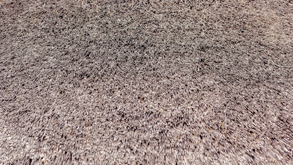 Straw pattern of roof or wall. Thatched roof texture background.