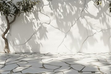 Fototapeta premium Sunlight shining through a tree onto a stone floor and white wall creating shadows