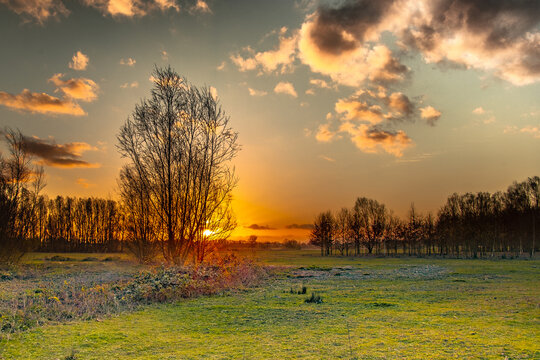 sunset in the field