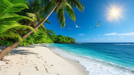 Beach with white sand and palm trees