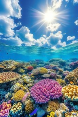 Fototapeta na wymiar Amazing and beautiful underwater view of a coral reef with many types of fish swimming around