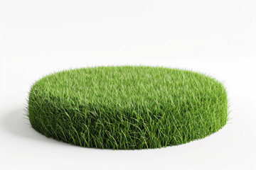Small round surface covered with grass.