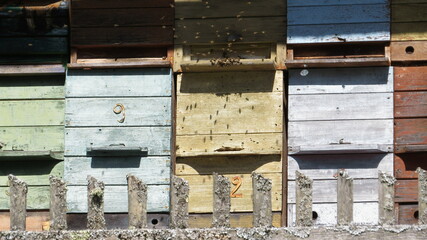 the bee house