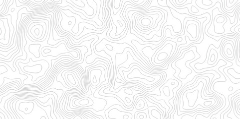 Fototapeta premium White wave paper curved reliefs abstract background black and white, Background of the topographic line map. Topographic map patterns abstract white topography vector background. 