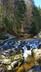 bavarian forest lake water