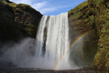 Iceland waterfall green grass and rainbow