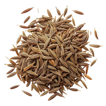 Cumin, transparent background, isolated image, generative AI