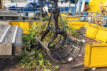 A trash-cleaning boat for the floating trash and aquatic weed in Chao Phraya river, Bangkok, Thailand.