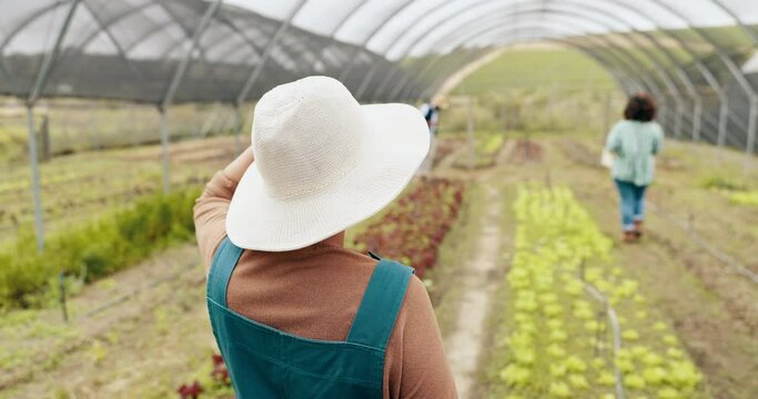 Greenhouse farming, agriculture and back of woman with sustainable business in nature for quality check. Industry, plant or behind female farmer outdoor with greenery, leaf or agro growth inspection