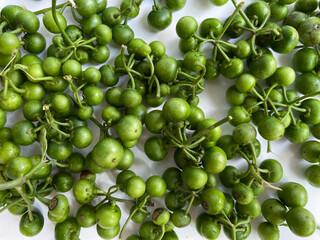Fruit of Solanum nigrum, the European black nightshade or leunca, isolated on white background