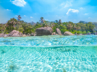 Split underwater view of a tropical beach