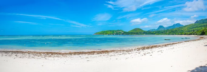 Photo sur Aluminium Anse Source D'Agent, île de La Digue, Seychelles Panoramic view of a tropical beach on a sunny day