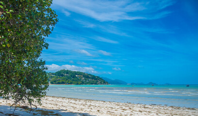 Tropical beach under a blue sky with clouds