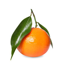 One fresh tangerine with green leaves isolated on white
