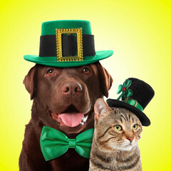 St. Patrick's day celebration. Cute dog and cat with green leprechaun hats on yellow background
