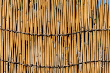 Yellow Bamboo canes stockade as background - 722084497