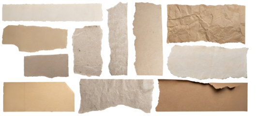 various torn plain paper collection , empty space , copy space for text and design ,isolated on transparent ,background with clipping path, cut-out. 