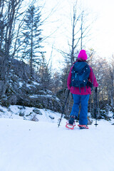 woman walking with snowshoes in the mountain, with poles and warm clothing. view from behind.