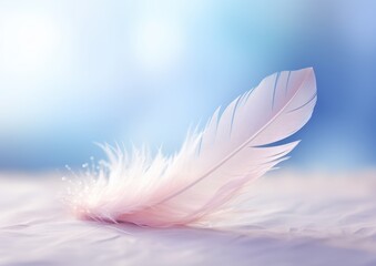 pretty feather on a pastel colored background.