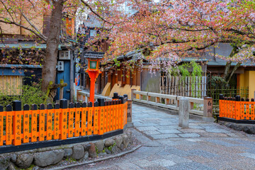 Fototapeta na wymiar Tatsumi bashi bridge in Gion district with full bloom cherry blossom in Kyoto, Japan