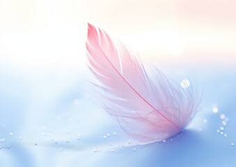 Naklejka premium pretty feather on a pastel colored background.