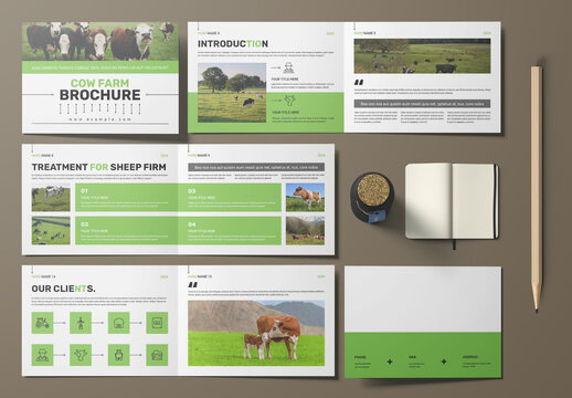 Cow Farm Brochure Template Landscape