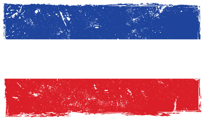 Los Altos grunge flag Texture 