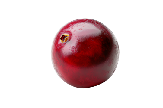 a close-up of a single cranberry on a white background. The cranberry is a small, round fruit with a bumpy texture. It is a deep red color, with some lighter highlights where the light hits it.