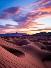 Fototapeta premium sunset in the desert