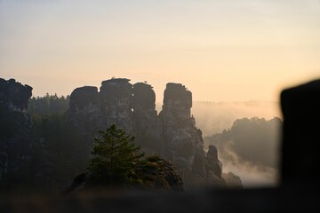 Foggy morning