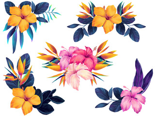 Set of watercolor neon colored tropical bouquets with hibiscus - 722102824