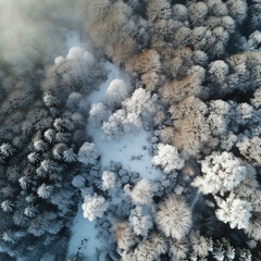 smoke from the fire