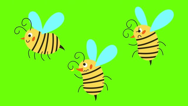 Set of cute cartoon honey bees. Hand-drawn vector 2d graphic. Green and white backgrounds. 4K animated video.