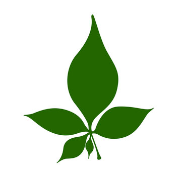 Five-leaf Belpatra icon