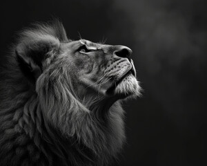 Stoic Lion with Majestic Mane in Black and White, Noble Gaze Portrait
