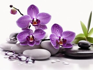Fototapeta premium Serenity Spa Escape: Aromatherapy Bliss with Massage Pebbles,black Tranquil Stone Stacks and Orchid Flowers 