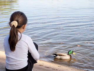 niña de espaldas mirando un pato