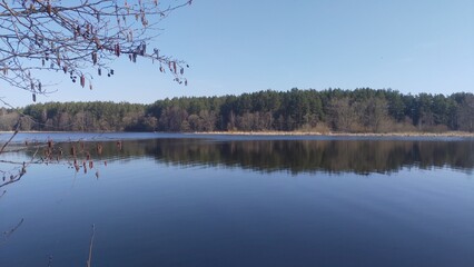 In early spring there is a lot of melt water in the river, which floods the banks. Alder branches without leaves but with earrings lean over the water. On the far bank is a forest
