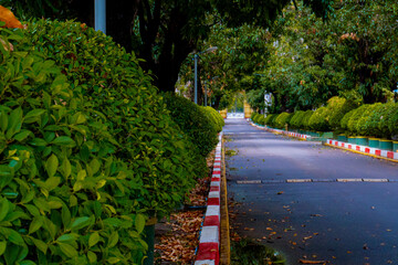 photo beautiful shot of park in vientiane laos surrounded with amazing nature