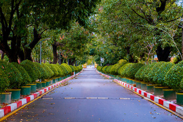 photo beautiful shot of park in vientiane laos surrounded with amazing nature