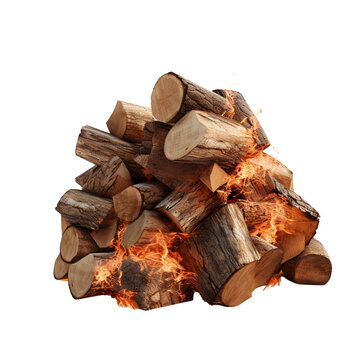Burning firewood clip art