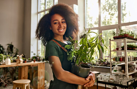 Cozy flower shop. Portrait of black young woman in apron embracing pot with green flower and smiling at camera. Positive female business owner standing at spacious store full of unique growing plants.