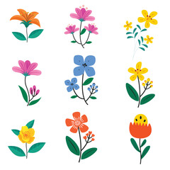 beautiful flower spring flower collection