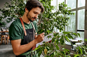Inventory at business. Focused man in apron standing near green lush potted ficus with checklist on...