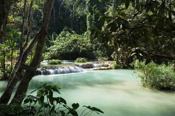Obraz premium Tranquil cascade in a lush green forest