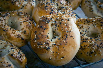Homemade  freshly baked everything bagels