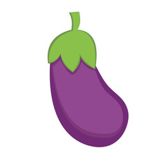 eggplant  aubergine on white background .vector illustration